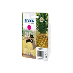 Epson C13T10H34010 604 XL