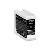 Epson C13T46S100 T46S1
