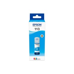 Epson C13T06B240 113