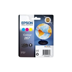 Epson C13T26704010 267