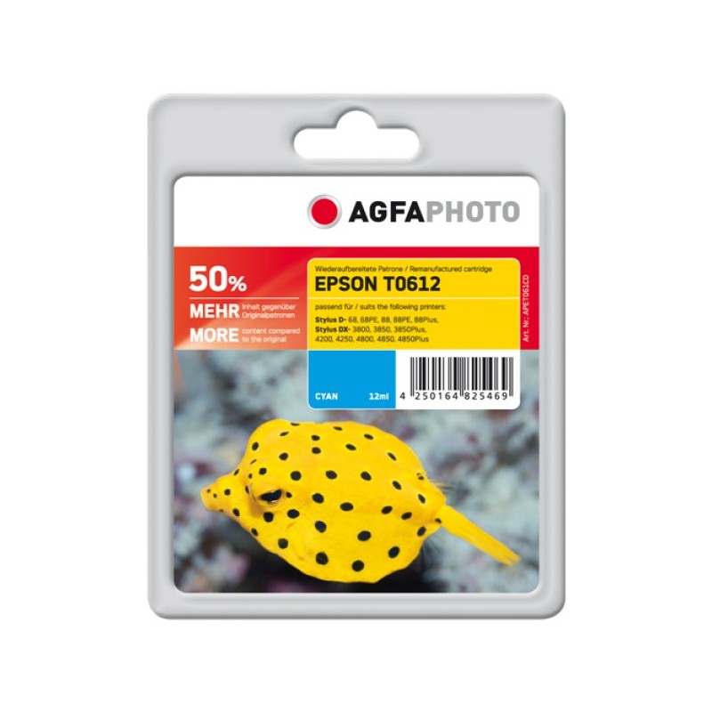  AA