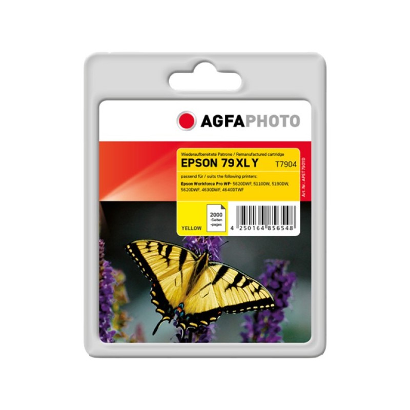  AA