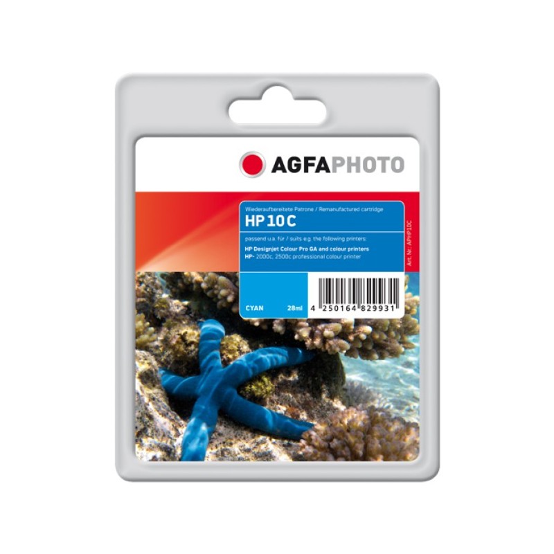  AA
