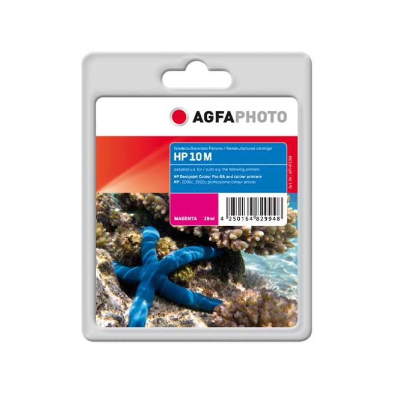  AA