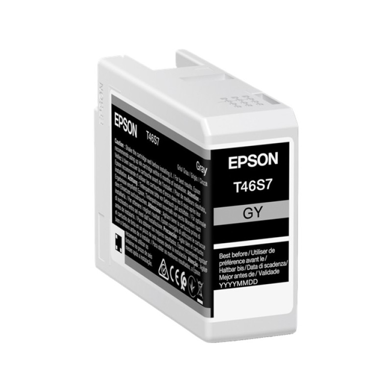 ORIGINAL Epson Cartuccia d'inchiostro Grigio C13T46S700 T46S7 25ml