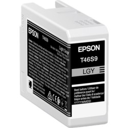 ORIGINAL Epson Cartuccia d'inchiostro grigio (chiaro) C13T46S900 T46S9 25ml