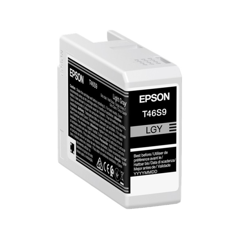 ORIGINAL Epson Cartuccia d'inchiostro grigio (chiaro) C13T46S900 T46S9 25ml