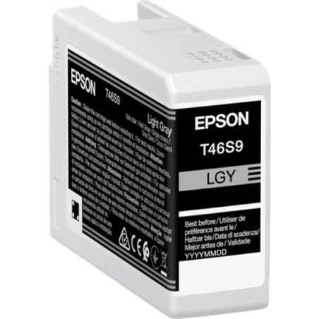 ORIGINAL Epson Cartuccia d'inchiostro grigio (chiaro) C13T46S900 T46S9 25ml