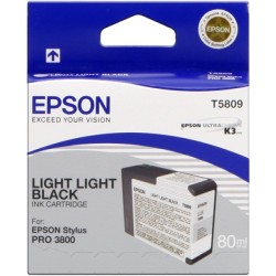 ORIGINAL Epson Cartuccia d'inchiostro lightlightblack C13T580900 T5809 80ml