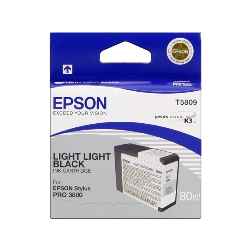 ORIGINAL Epson Cartuccia d'inchiostro lightlightblack C13T580900 T5809 80ml