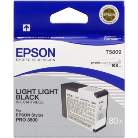 ORIGINAL Epson Cartuccia d'inchiostro lightlightblack C13T580900 T5809 80ml