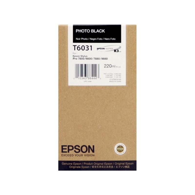 ORIGINAL Epson Cartuccia d'inchiostro Nero (Foto) C13T603100 T6031 220ml