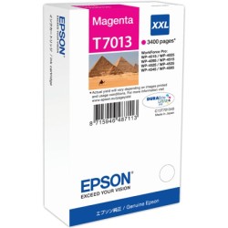 ORIGINAL Epson Cartuccia d'inchiostro magenta C13T70134010 T7013 XXL ~3400 Seiten XXL