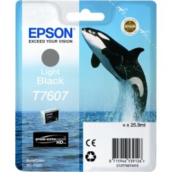 ORIGINAL Epson Cartuccia d'inchiostro lightblack C13T76074010 T7607 25,9ml UltraChrome HD