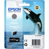 ORIGINAL Epson Cartuccia d'inchiostro lightblack C13T76074010 T7607 25,9ml UltraChrome HD