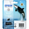 ORIGINAL Epson Cartuccia d'inchiostro lightlightblack C13T76094010 T7609 25,9ml UltraChrome HD