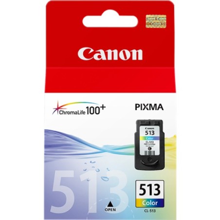 ORIGINAL Canon Cartuccia d'inchiostro differenti colori CL-513 2971B001 ~349 Seiten 13ml