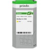 ORIGINAL Prindo Cartuccia d'inchiostro giallo PRIBLC1100YG Green ~325 Seiten